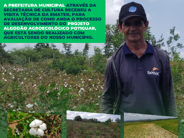 Prefeitura Municipal e Emater Avaliam Progresso do Projeto Algodão Agroecológico Potiguar